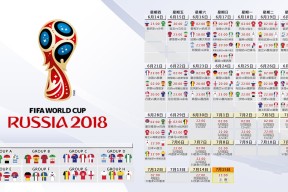 中国柔道队2026年试点“体能+专项双主教练制”