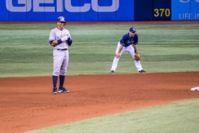 瑞典队在2024年乒乓世界杯的成功之路，瑞典乒乓球联赛