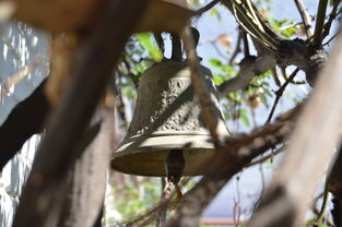 开云体育app网页版安全-NBA球员转会市场动态，nba转会名单