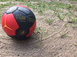 开云体育登陆入口-全国老年人健身球操赛展银发激情，老年健身球类