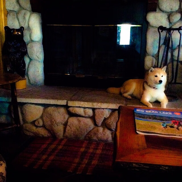 开云网址-校园体育课程评价体系与学生发展关联性研究，学校体育评价的概念