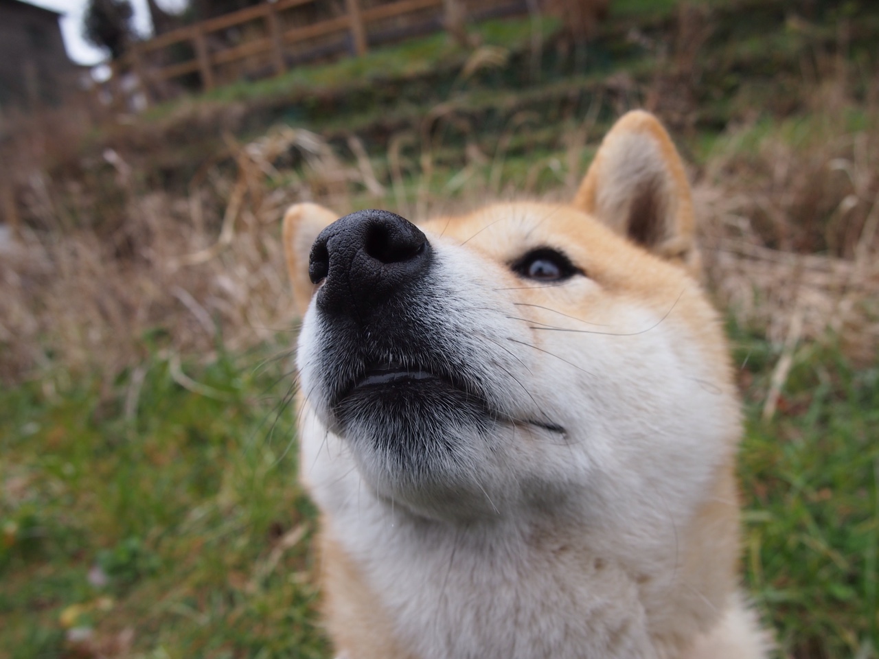 法甲防守策略转型对定位球失球率的影响，法国防守型中场