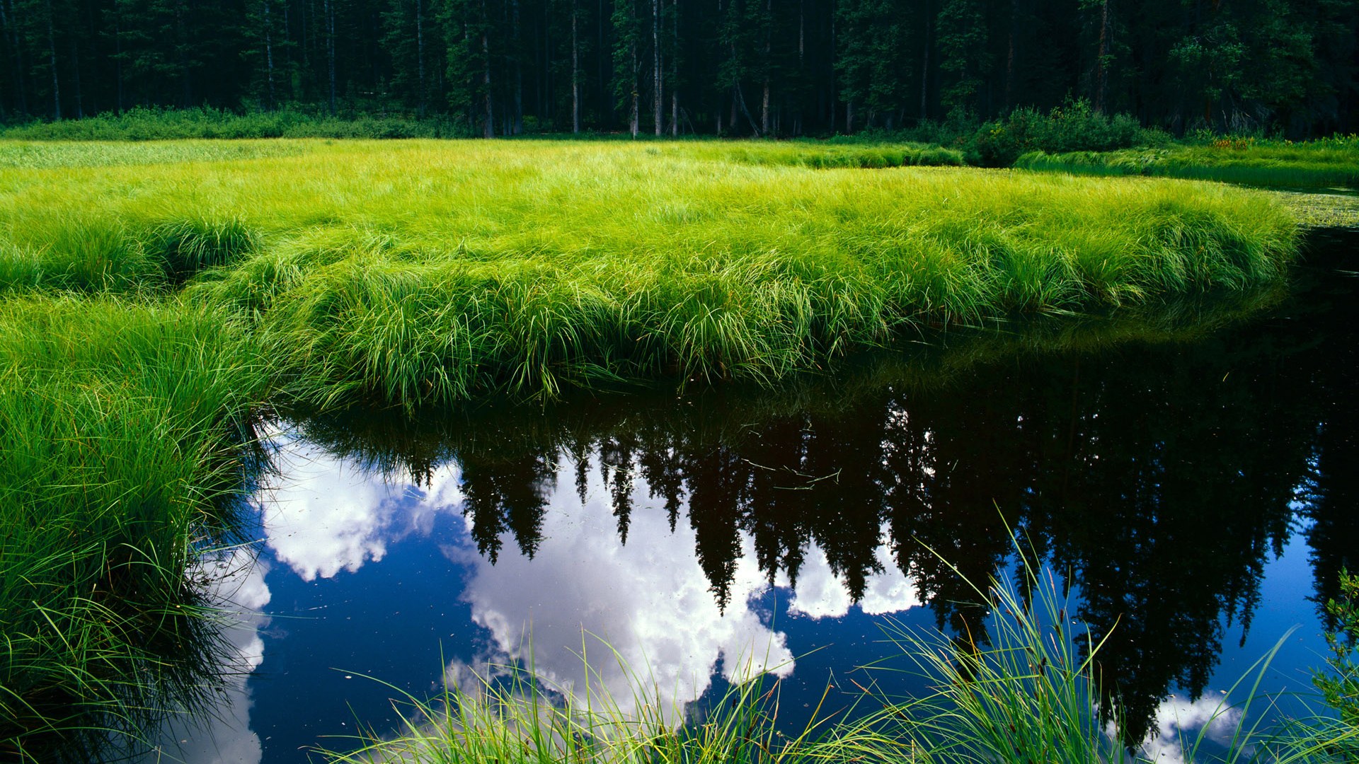 亚特兰大高位组织多点起攻创造空间，亚特兰大战术体系