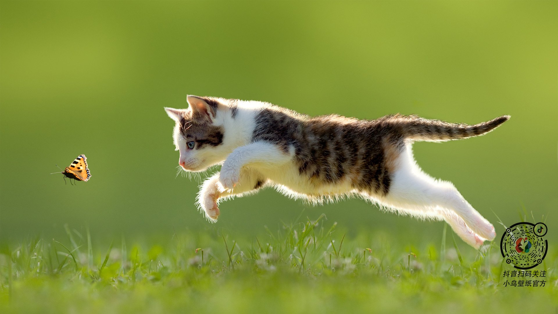 切尔西中后场紧逼有效限制对手发挥，切尔西中场球员