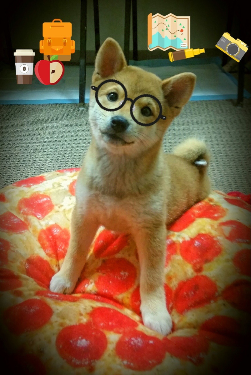 开云体育网站入口-拉齐奥中路组织串联有效制造机会，拉齐奥足球俱乐部的辉煌时期