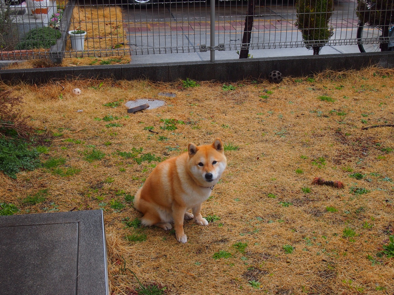 中国男篮再集结备战亚运目标直指金牌荣誉，中国男篮亚运会数据