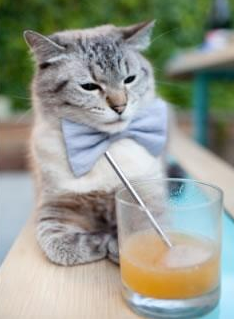 伊朗男篮在亚洲预赛中奋勇争先，冲击奥运男篮梦，伊朗队男篮