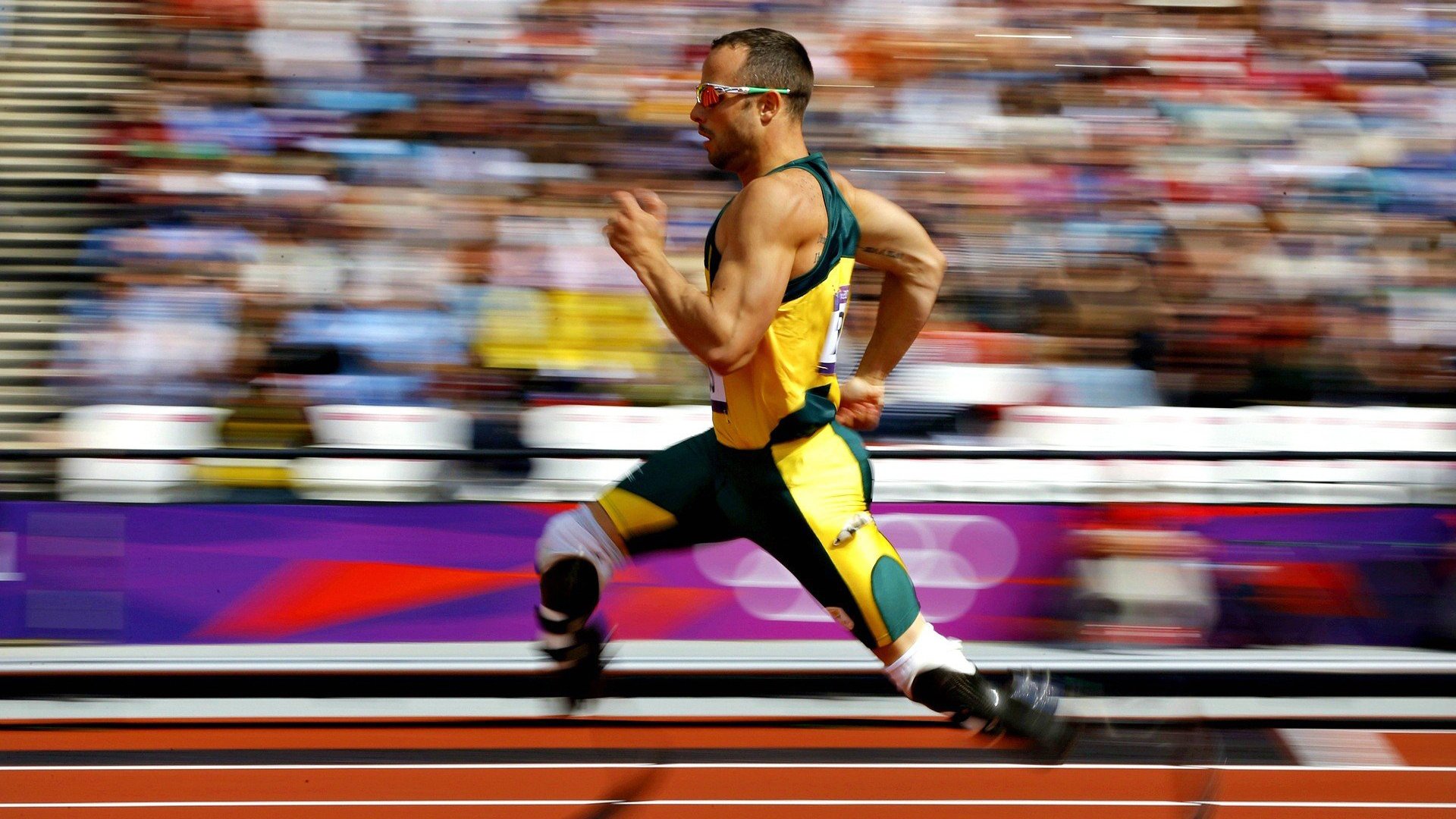 体育新闻中心构建区域特色体育新闻内容本地化模型，体育新闻主要报道形式